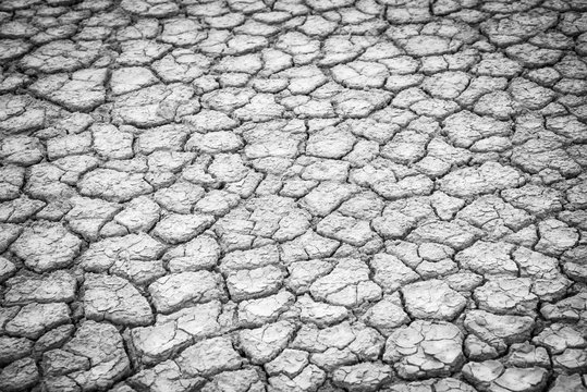 Earth ground crack,  land lack of water