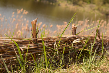 fence of dry long branches