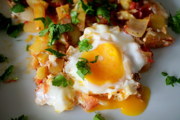 Afghan style brunch with egg, tomatoes, potatoes, onions, parsley and spices.
