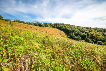 Beautiful mountain landscape with blue sky in northern Thailand - Green nature and travel business concept