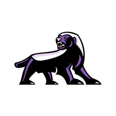 Mascot icon illustration showing full body of angry and aggressive honey badger (Mellivora capensis), also known as the ratel  viewed from side on isolated background in retro style.
