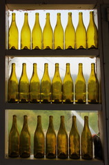 yellow bottles in a row of winery window