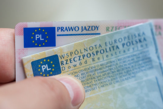 Prawo jazdy i dow&oacute;d rejestracyjny