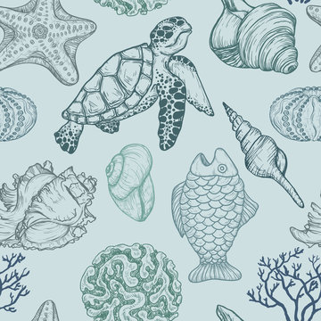 Seamless pattern with sketch of sea shells, fish, corals and turtle. Hand Drawn illustration. Seal Ocean life