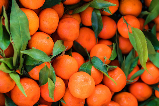 Citrus fruit background. Fresh Tangerines (mandarines, clementines, citrus oranges)  with green leaves. Harvest concept. Top view,.