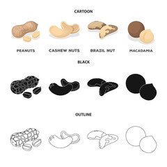 Peanuts, cashews, brazil nuts, macadamia.Different kinds of nuts set collection icons in cartoon,black,outline style vector symbol stock illustration web.