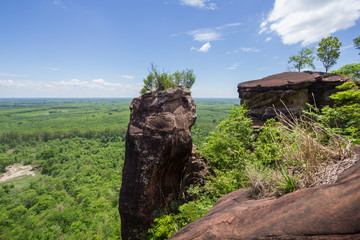 Beautiful scenery of the tropical foliage and the sandstone rocks with blue sky background, Phu Sing, Bueng Kan, Thailand