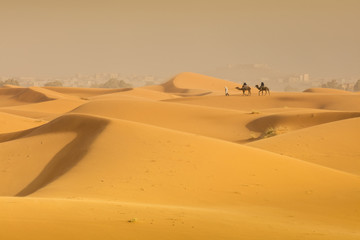 three people and two camels go through desert hills in Sahara in Morocco