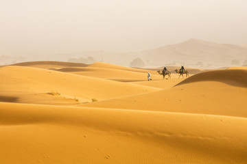 Fototapeta na wymiar two camels and one guide man walking by Sahara desert