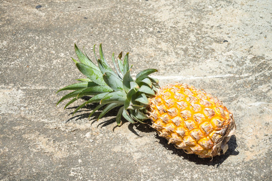 Organic pineapple on outdoor concrete in sunny day, tropical summer holiday vacation concept