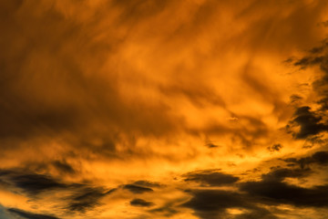 Fototapeta premium Sunset sky dramatic or golden orange tone.