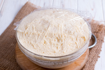 Fresh yeast dough for pizza, bread, baguettes