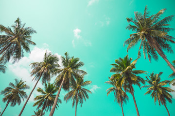 Fototapeta na wymiar Coconut palm trees - Tropical summer breeze holiday, Vintage tone