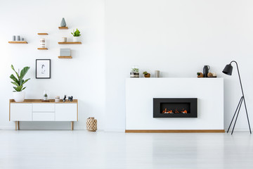 Plant on wooden cupboard in white apartment interior with copy space above fireplace. Real photo