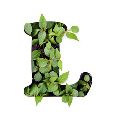 Letter L of the English alphabet from leaves in white stencil