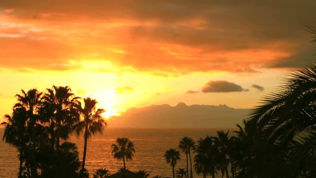 Elevated Shot of a Beautiful Sunset on an Exotic Island and Sea Visible, with Silhouettes of Palm Trees and Buildings Showing. Shot on RED Epic 4K UHD Camera.