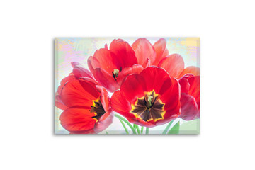 Floral motif canvas. Bouquet of beautiful red tulips on colorful background. Wall art, interior decor mock up