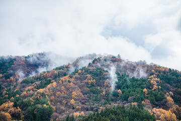 Mist on the top of mountain autumn season, Japan