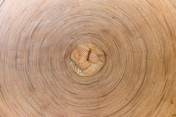 Flexible plywood rolled into a roll