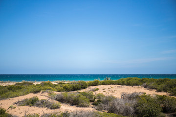Fototapeta na wymiar Paradisiac beach bathed by the Mediterranean sea with preserved dunes of Arenales del Sol in Elche, Spain