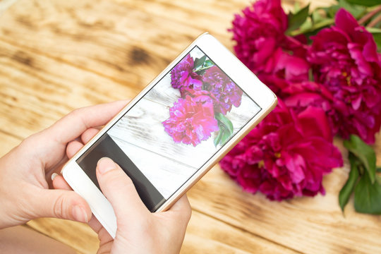 Woman hands taking photo on a phone of red peonies on a rustic background
