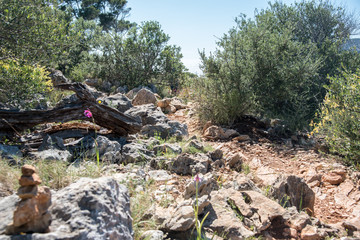 Camp de Mar Mallorca auf dem Weg zum Torre am Cap Andritxol