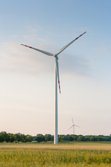 Renewable energy power plant wind turbines in the field