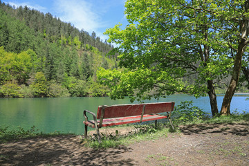 lago estanque pantano banco 4M0A5798-f18