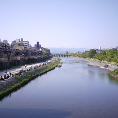 Fototapeta premium 京の川