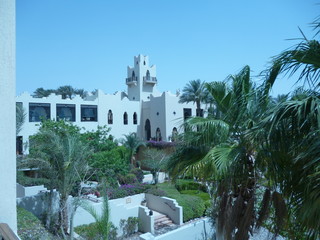 Fototapeta premium природа