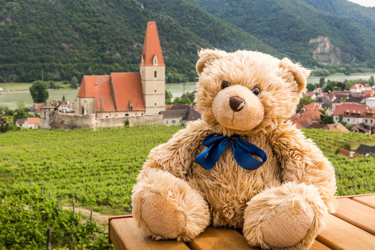 Teddy bear Dranik in Weissenkirchen. Austria.