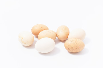 chicken eggs in a plastic container on a white background