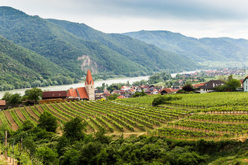 Scenic View into the Wachau with the river Danube and town Weissenkirchen in Lower Austria. - obrazy, fototapety, plakaty