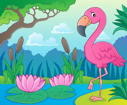 Flamingo topic image 4