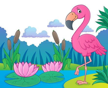 Flamingo topic image 5