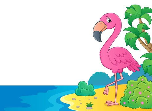 Flamingo topic image 6