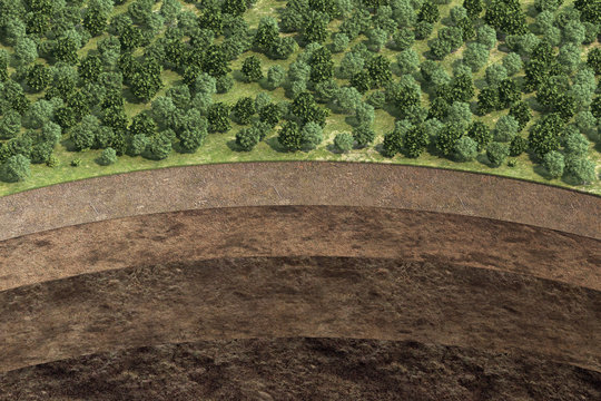 Cutaway Of Soil With Soil Layers