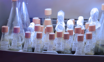 Abstract, blurry, bokeh background, image for the background. Chemical laboratory, reagent bottles