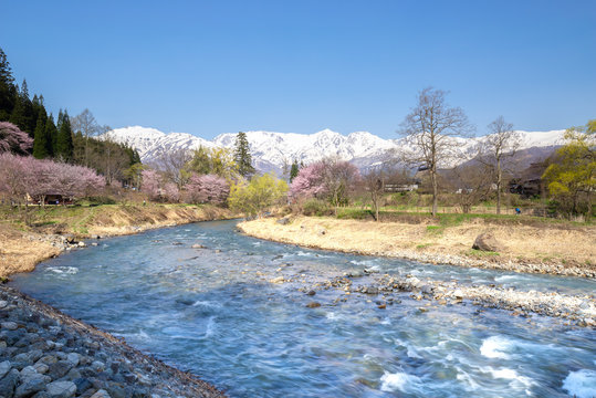 春の大出公園