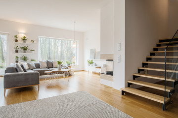 Grey apartment interior with plants