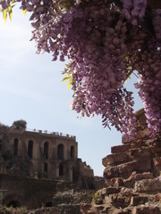 Obraz premium Forum historique de rome 