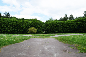 green summer park Ukraine