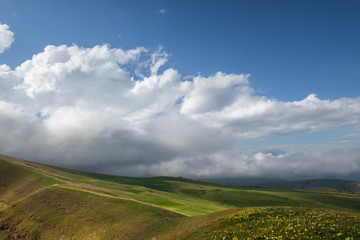 high-mountain meadows and plateaus and slopes in green grass illuminated by the sun and covered with a thick white cloud on a blue sky
