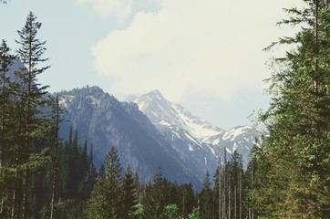 Dramatic moutains near forest