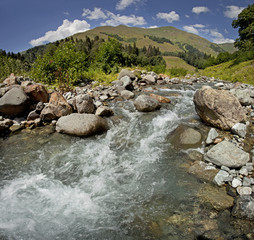 Fototapeta na wymiar Gorge with a mountain river in the wild.