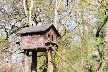 Bird feeder hung on a tree among the high leaves.