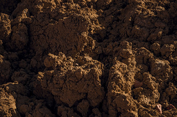 Close-up of brown soil in a construction area at sunset in Tielt. Charming and quiet village in the countryside, near Ghent and surrounded by agricultural fields. Western Belgium.