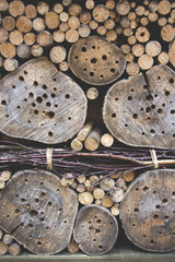 Wooden insect house.