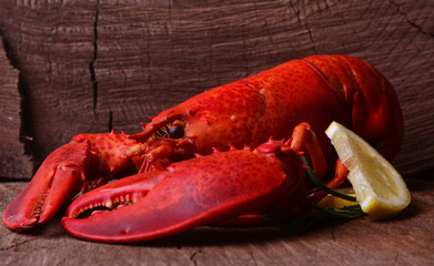 Fresh lobster