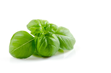 fresh basil leaves